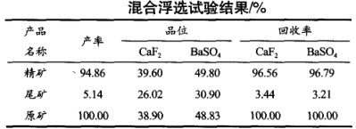 混合浮選試驗結果